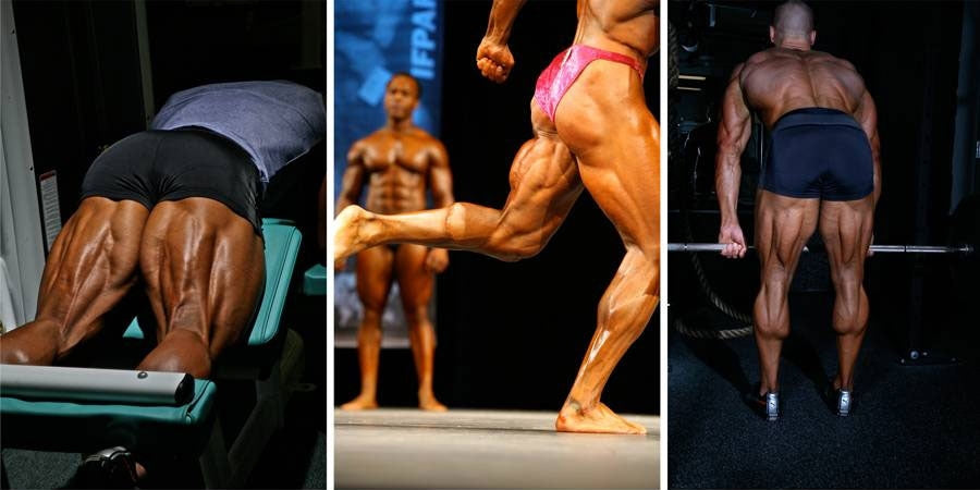 Developing Complete Legs: Hamstring Training