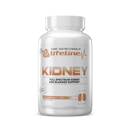 Kidney